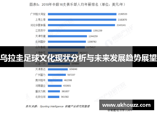 乌拉圭足球文化现状分析与未来发展趋势展望